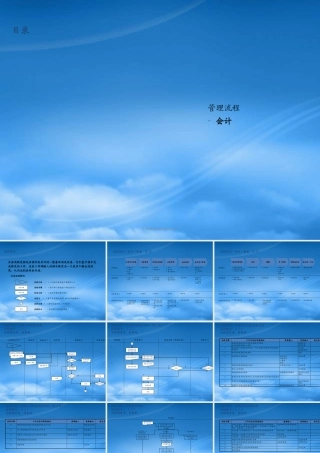 某公司会计工作流程