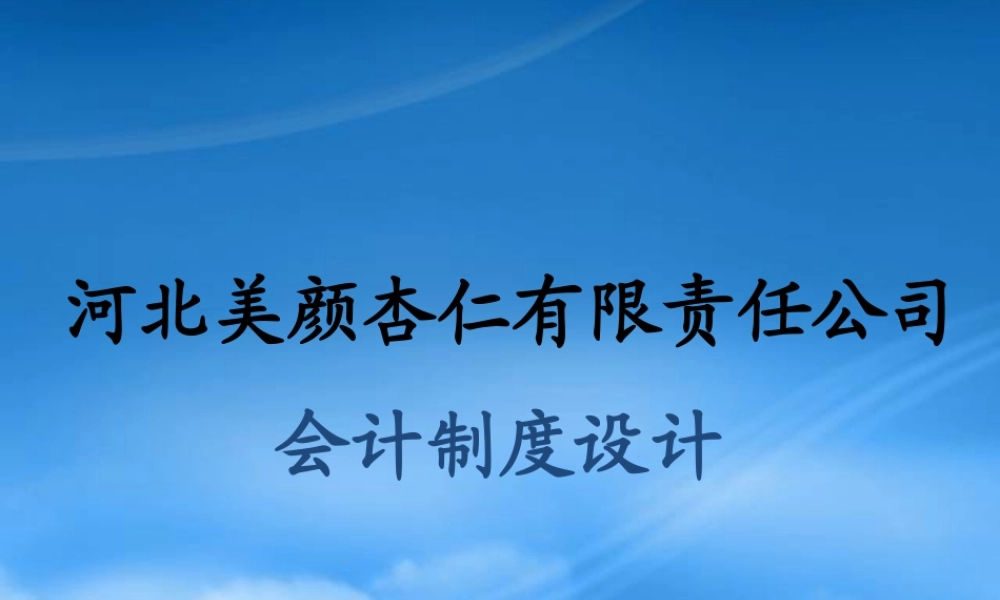 某公司会计制度设计案例(PPT 62页)