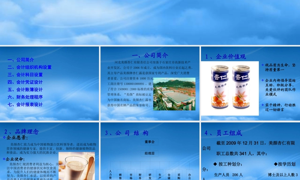 某公司会计制度设计案例(PPT 62页)