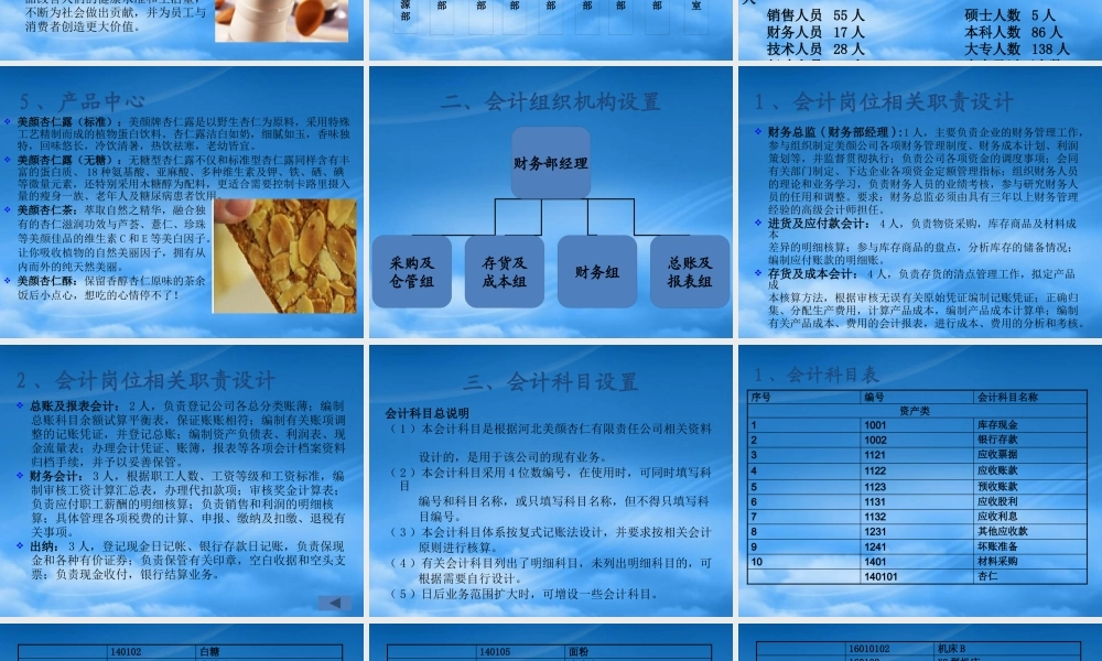某公司会计制度设计案例(PPT 62页)