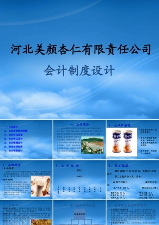 某公司会计制度设计案例(PPT 62页)