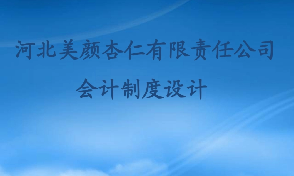 某公司会计制度设计案例