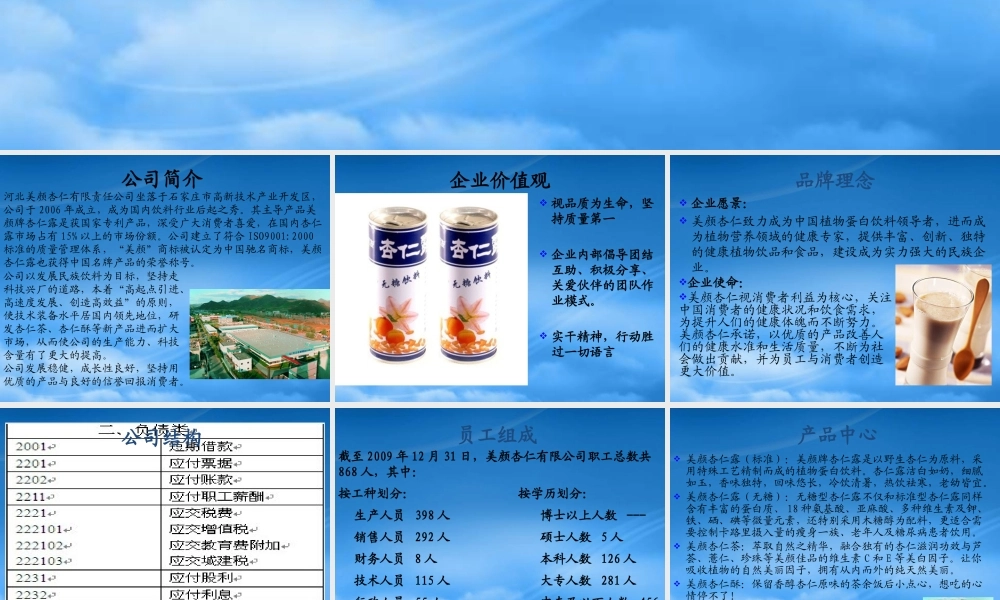 某公司会计制度设计案例