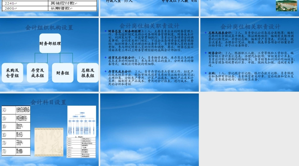某公司会计制度设计案例