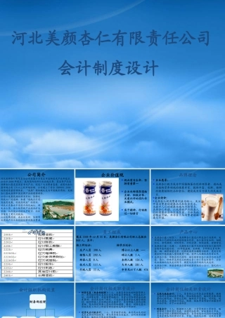 某公司会计制度设计案例