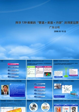 某公司惠民邮箱营销案例