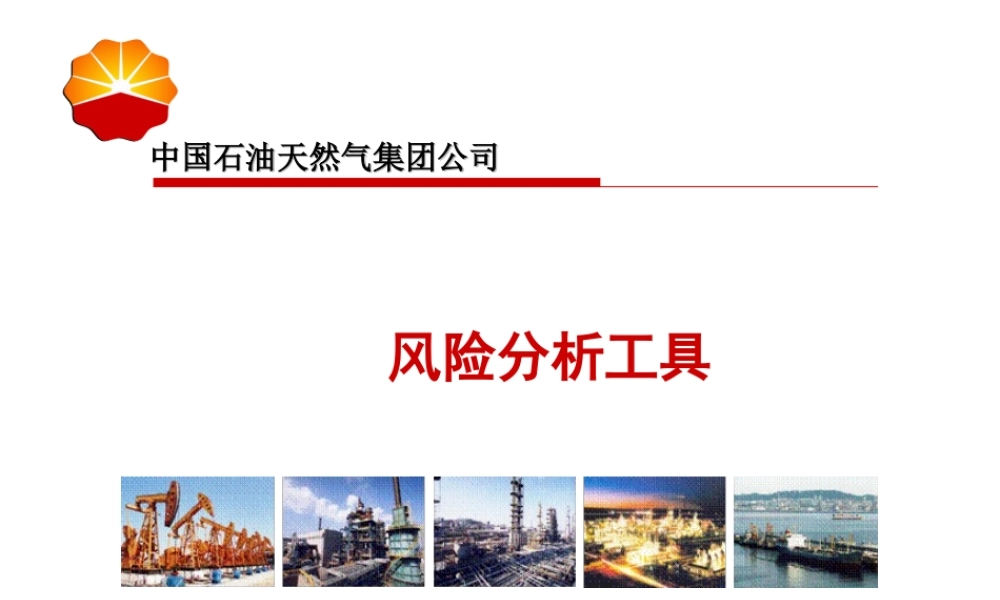 天然气公司风险分析工具