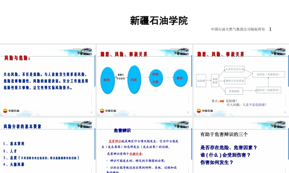 天然气公司风险分析工具