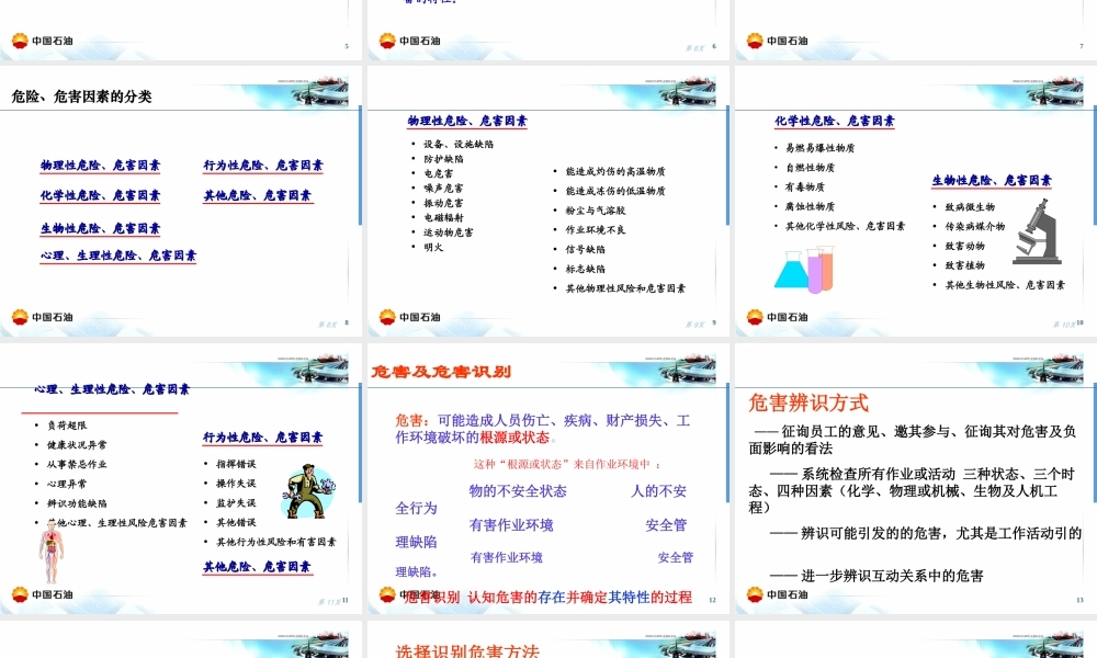 天然气公司风险分析工具