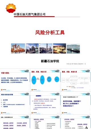 天然气公司风险分析工具
