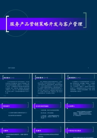 服務産品營銷策略開發與客戶管理