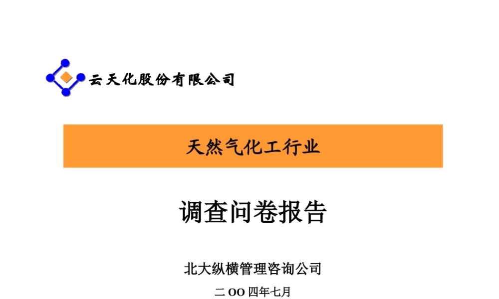 天然气行业调查问卷报告