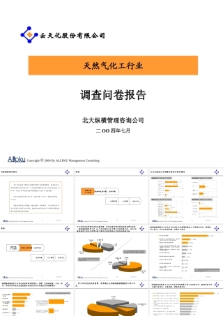 天然气行业调查问卷报告