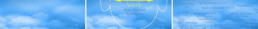 某公司活动策划与360度品牌管理教材