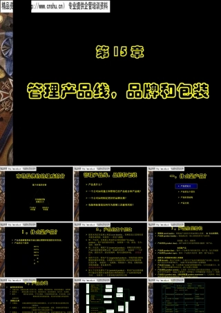 服装产品线管理、品牌与包装