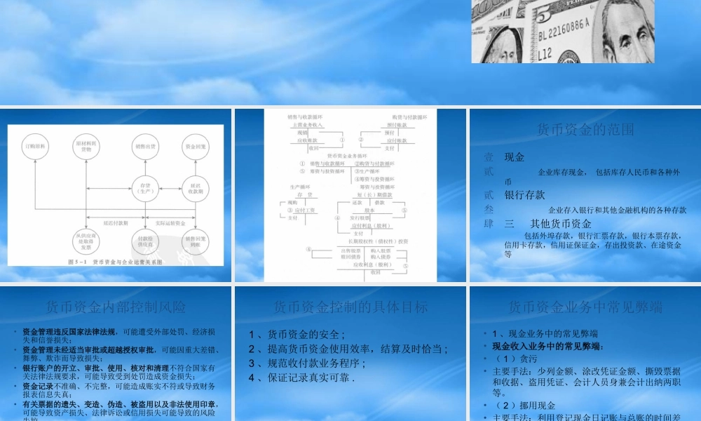 某公司货币资金管理及内部控制管理知识分析