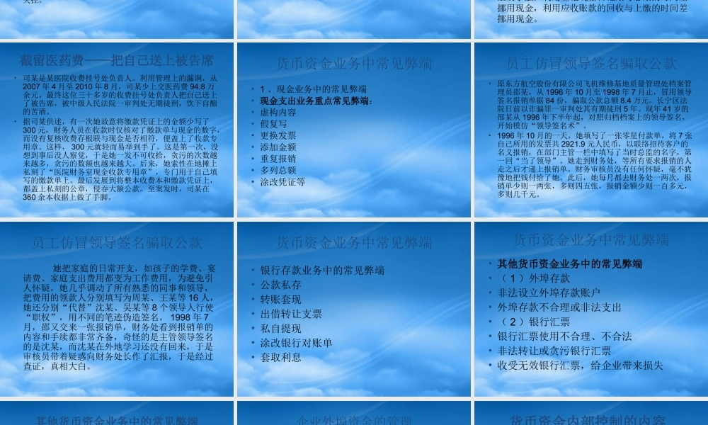 某公司货币资金管理及内部控制管理知识分析