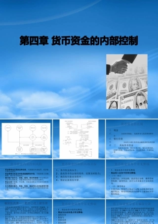 某公司货币资金管理及内部控制管理知识分析