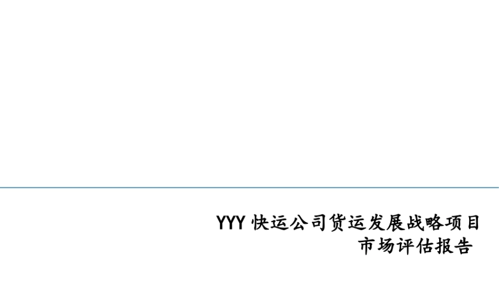 某公司货运发展战略项目及评估报告