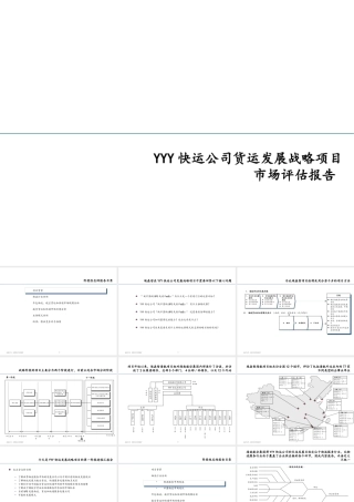 某公司货运发展战略项目及评估报告