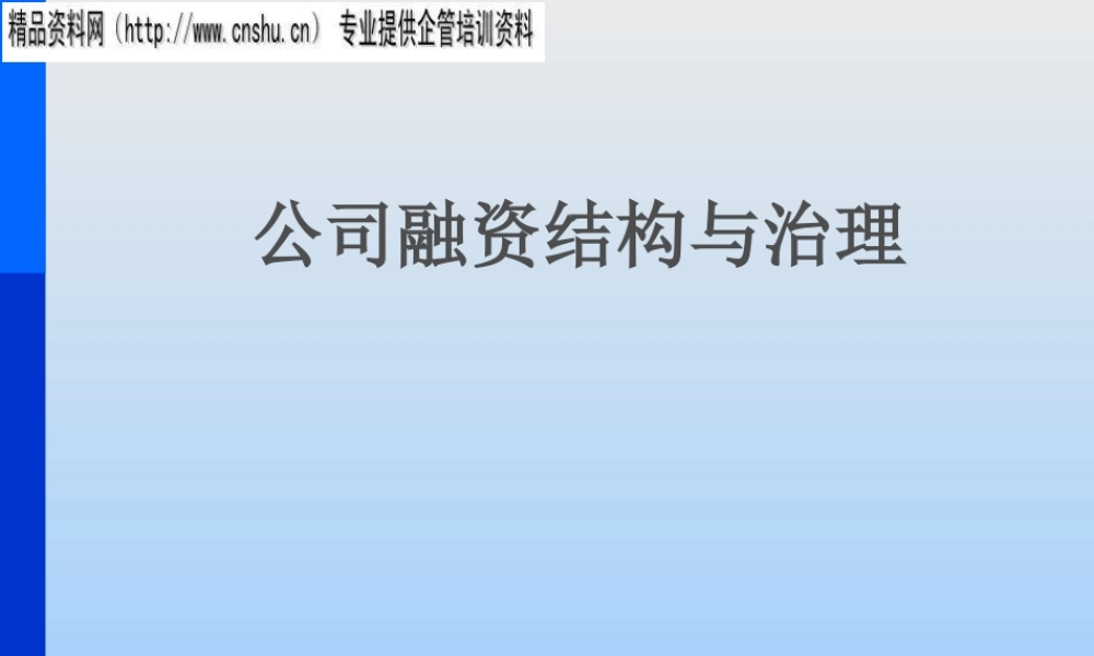 服装公司治理机制与董事会结构