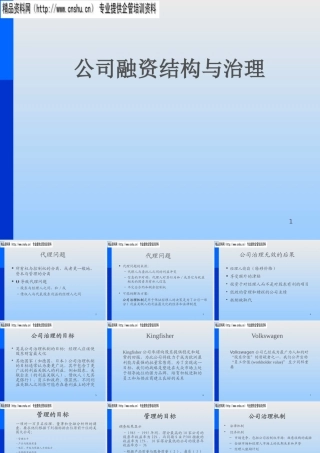 服装公司治理机制与董事会结构