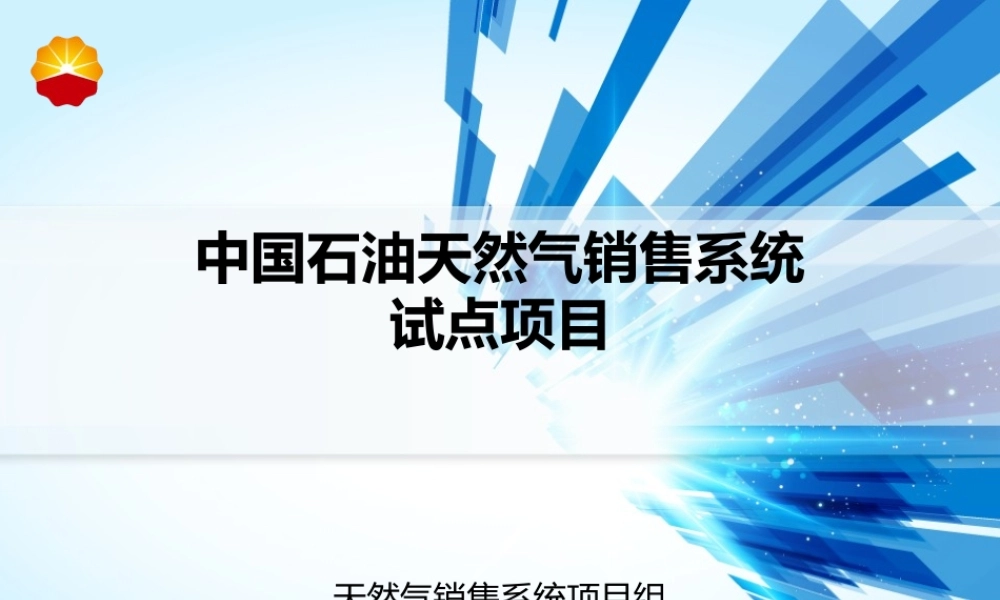 天然气销售系统项目简介V04