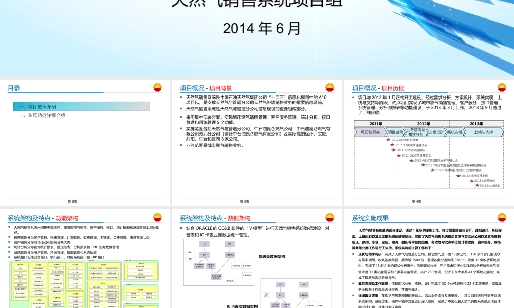 天然气销售系统项目简介V04