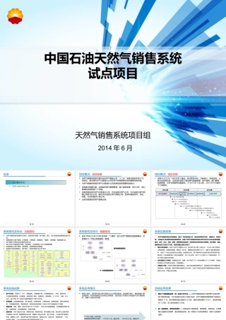 天然气销售系统项目简介V04