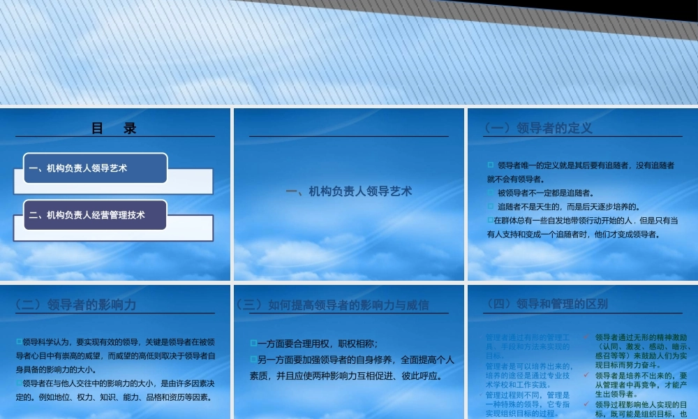 某公司机构团险负责人经营管理技能概述