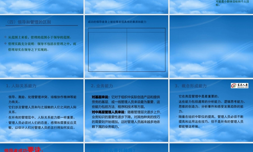 某公司机构团险负责人经营管理技能概述