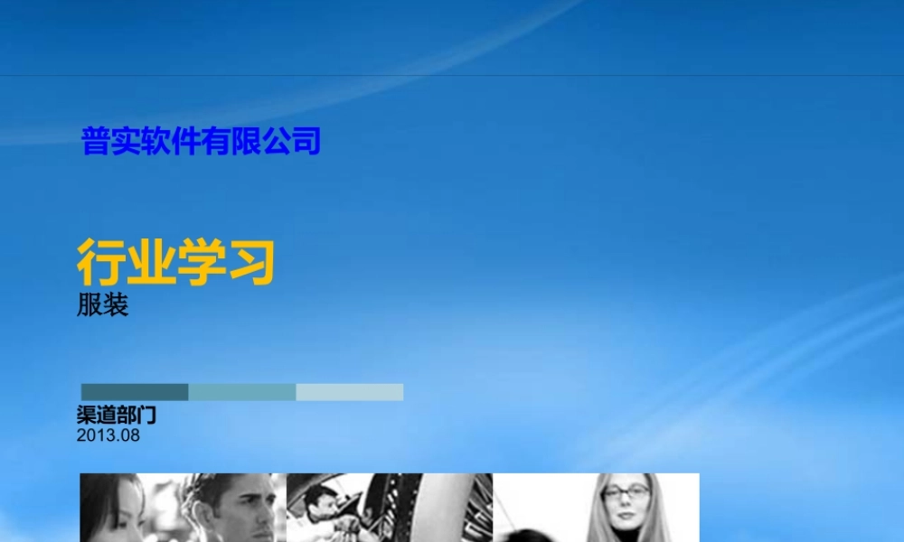 服装行业ERP运用分析报告