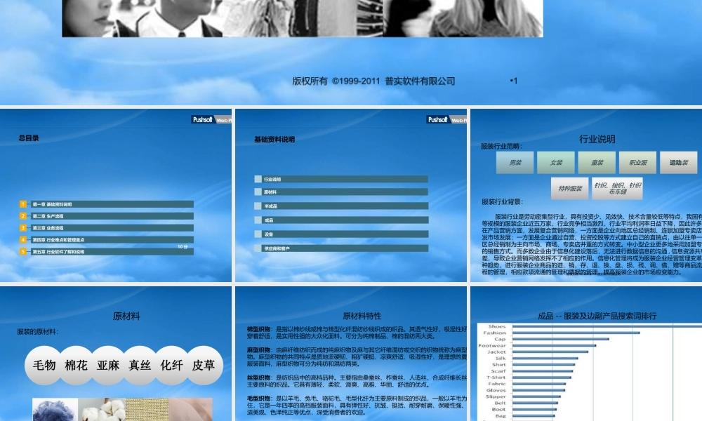 服装行业ERP运用分析报告