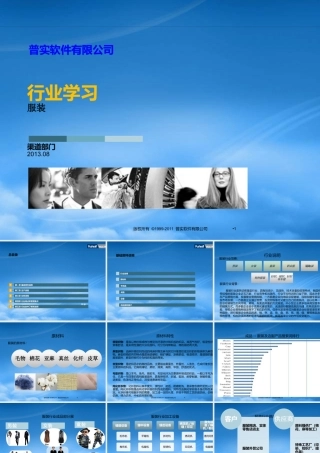 服装行业ERP运用分析报告