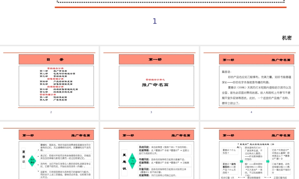 天然苏打水新产品营销全案