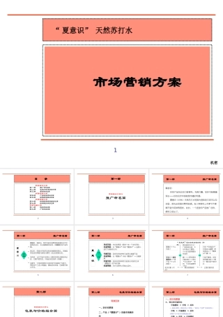 天然苏打水新产品营销全案