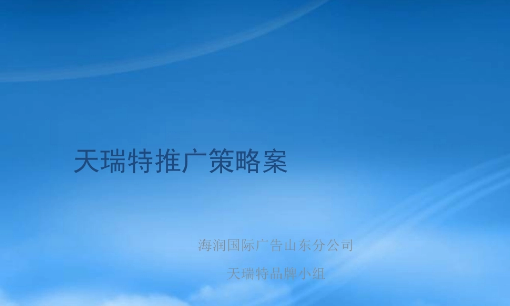 天瑞特广告推广策略案