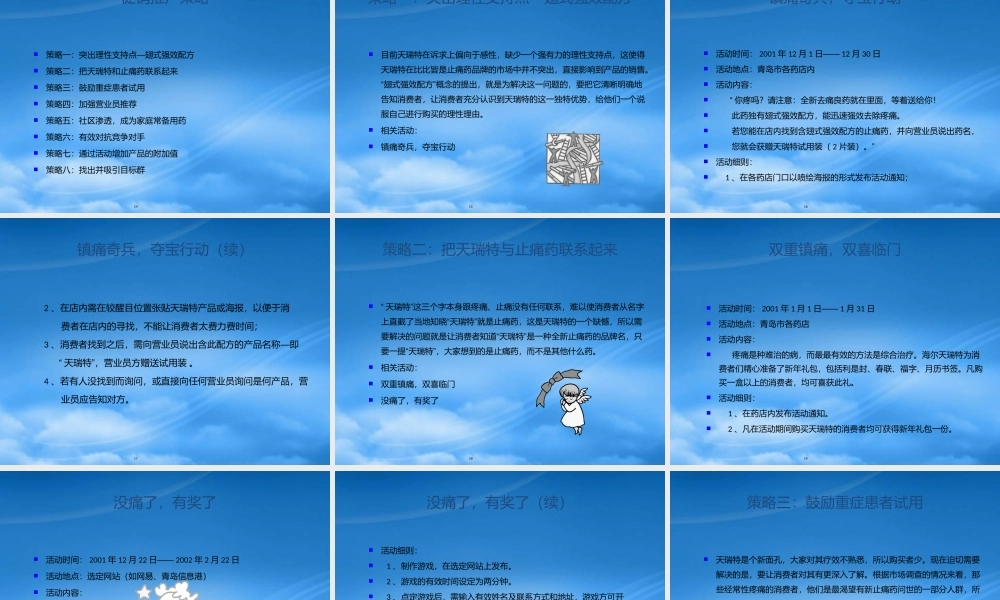 天瑞特广告推广策略案