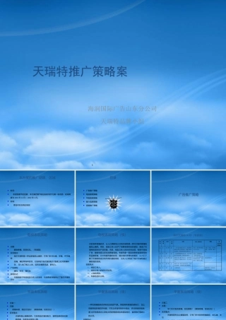 天瑞特广告推广策略案