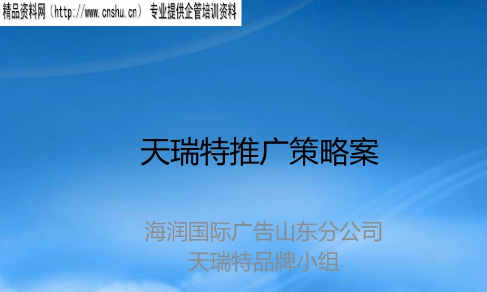 天瑞特推广策略案(1)