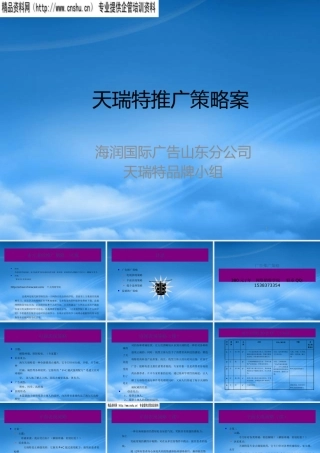天瑞特推广策略案(1)