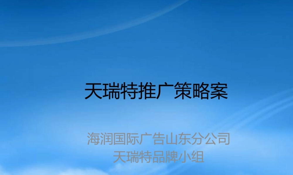 天瑞特推广策略案