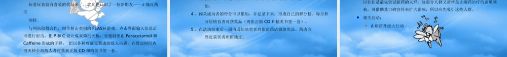 天瑞特推广策略案