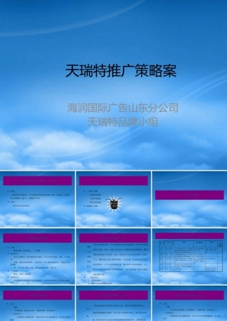天瑞特推广策略案