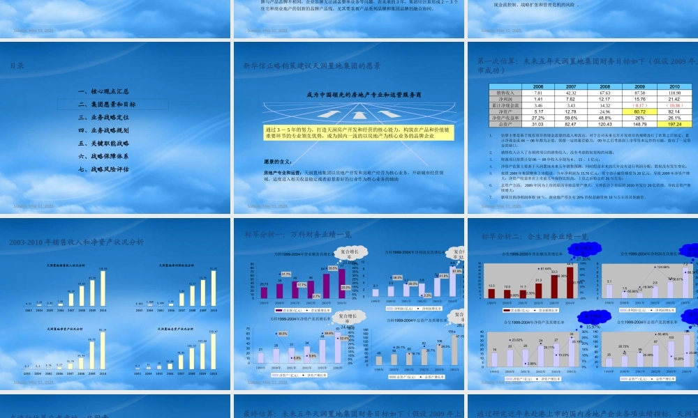 天润置地集团战略规划报告_正略钧策_147PPT_XXXX年