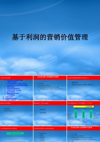 某公司基于利润的营销价值管理