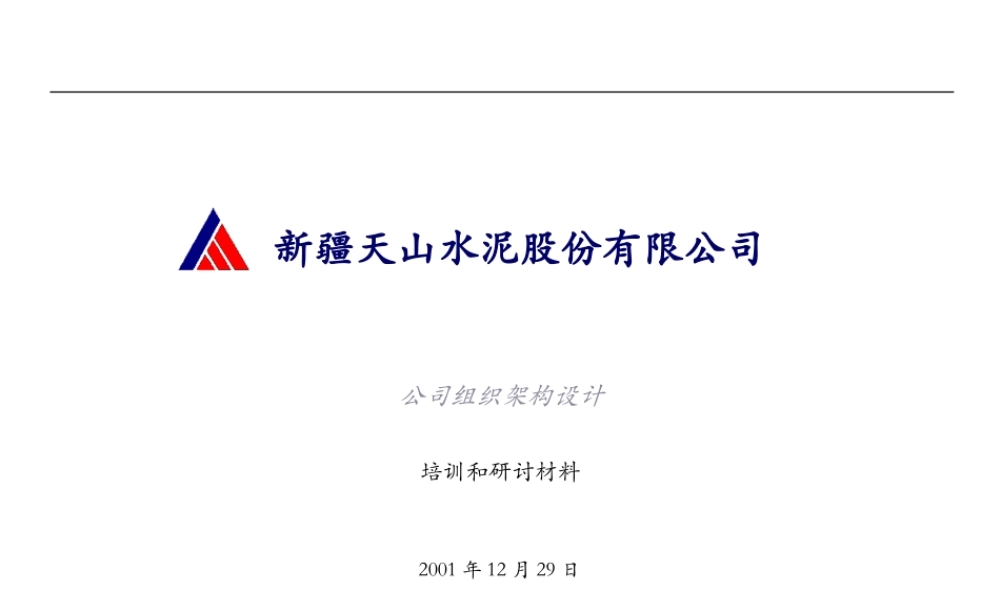 天山水泥组织架构设计