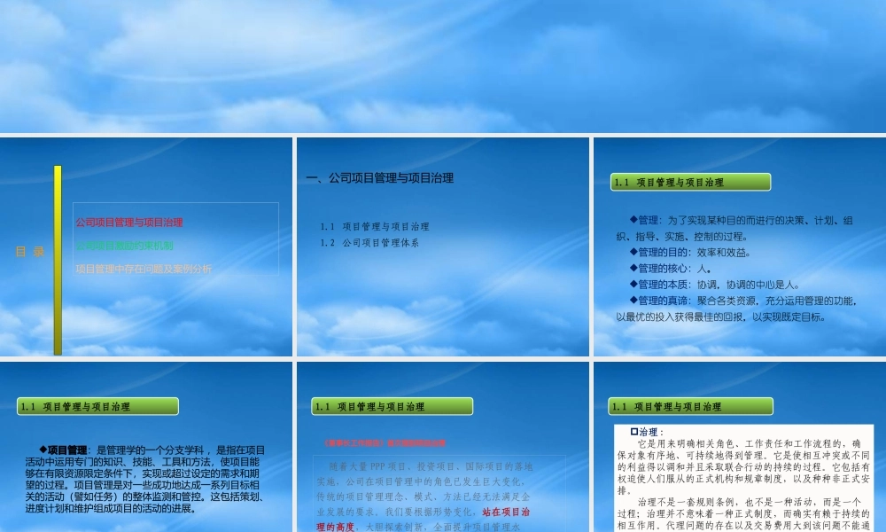 某公司激励约束和项目管理培训教材