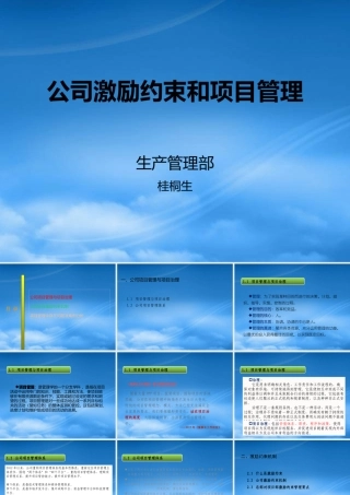 某公司激励约束和项目管理培训教材