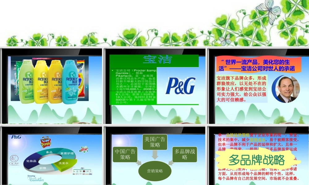 某公司及产品的介绍
